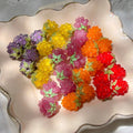 Gold ruby glass raspberry beads in assorted colors